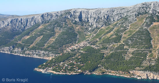 Hvar Beaches