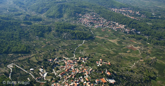 Terraced Vineyards